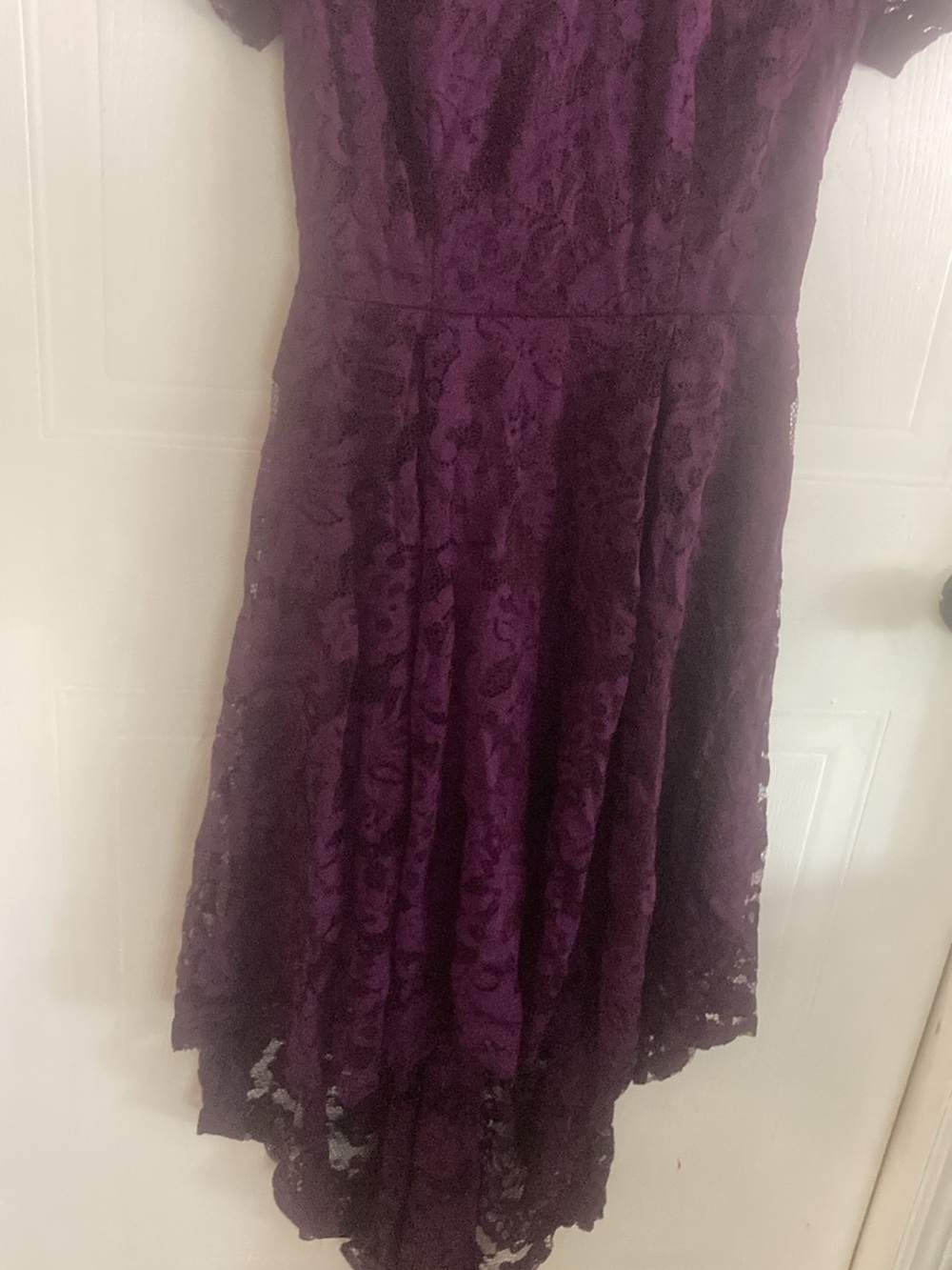 Elegant Purple Lace A-Line Dress